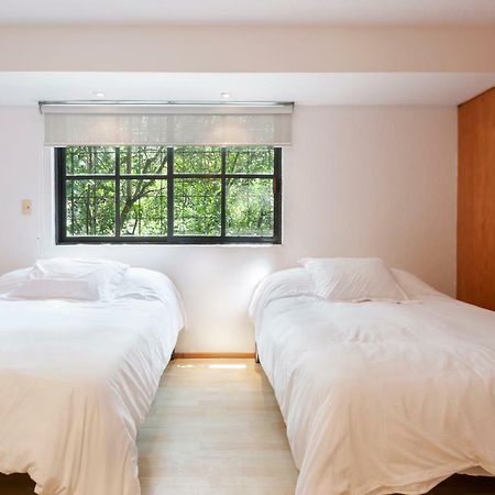 Lovely Apartment Ahuehuetes Мехико Экстерьер фото